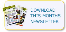 Newsletters